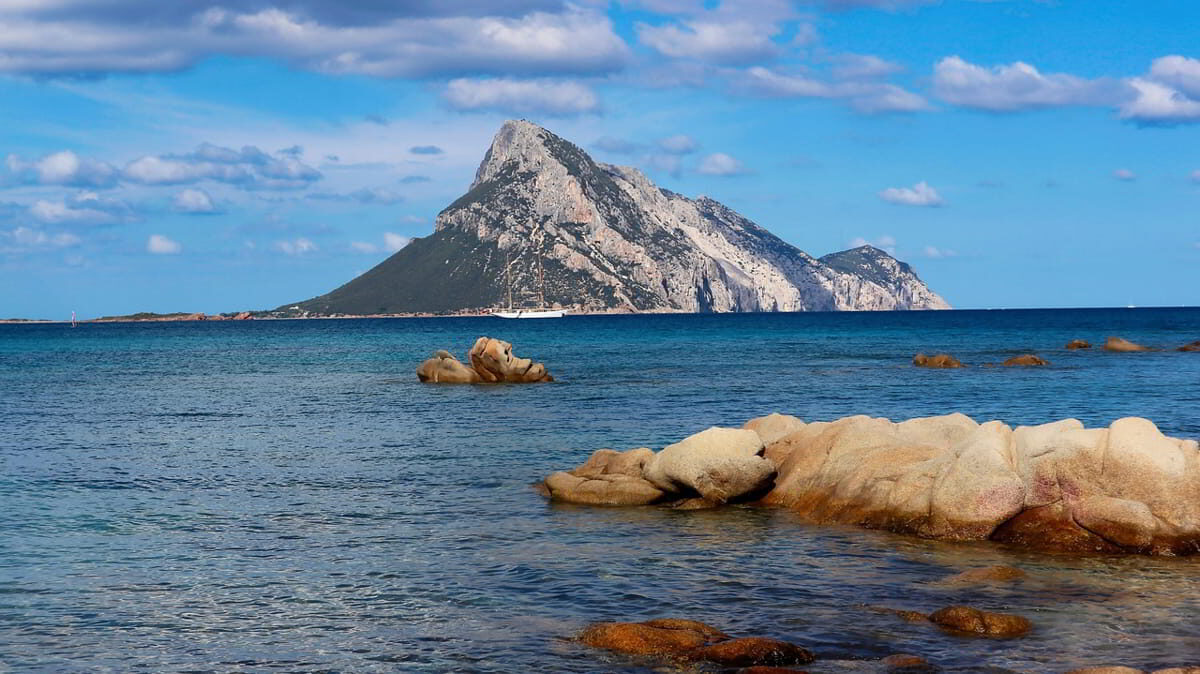 Panoramic view of Marina di Olbia with sailing yachts and clear berthing areas on Sardinia’s northeast coast